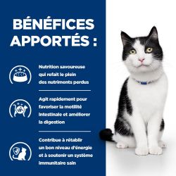 Hill's Prescription Diet Feline i/d Activ Biome+ - 24 boîtes de 156g