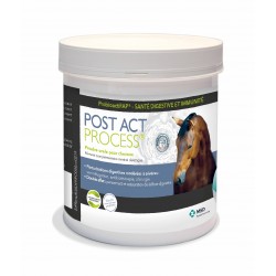 Post Act process Cheval -...