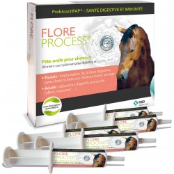 Flore process cheval - 5...
