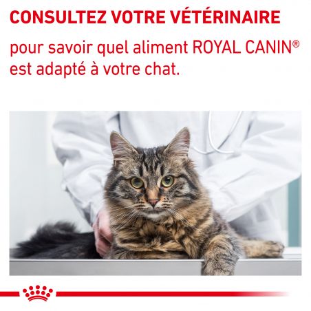 Royal canin Vet Care Nutrition Cat Senior Consult Stage 1 Balance Royal canin Vet Care Nutrition Cat Senior Consult Stage 1 Balance