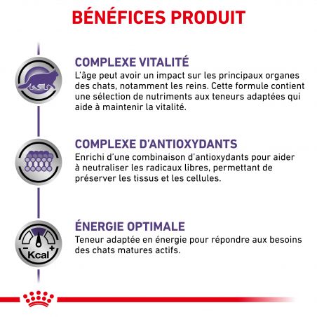Royal Canin Cat Mature Consult 12 sachets repas de 85 g Royal Canin Cat Mature Consult 12 sachets repas de 85 g