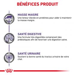 Royal Canin Vet Care Nutrition Cat Adult Neutered Maintenance 12 x 85 g