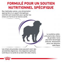 Royal Canin Vet Care Nutrition Dog adult Large Digest & Osteo