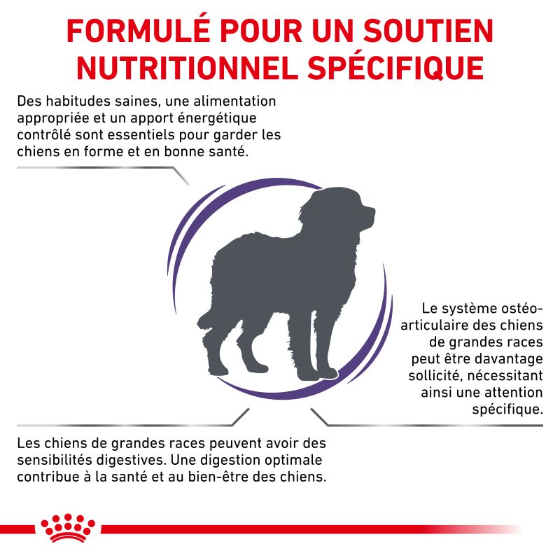 Royal Canin Vet Care Nutrition Dog adult Large Digest & Osteo Royal Canin Vet Care Nutrition Dog adult Large Digest & Osteo