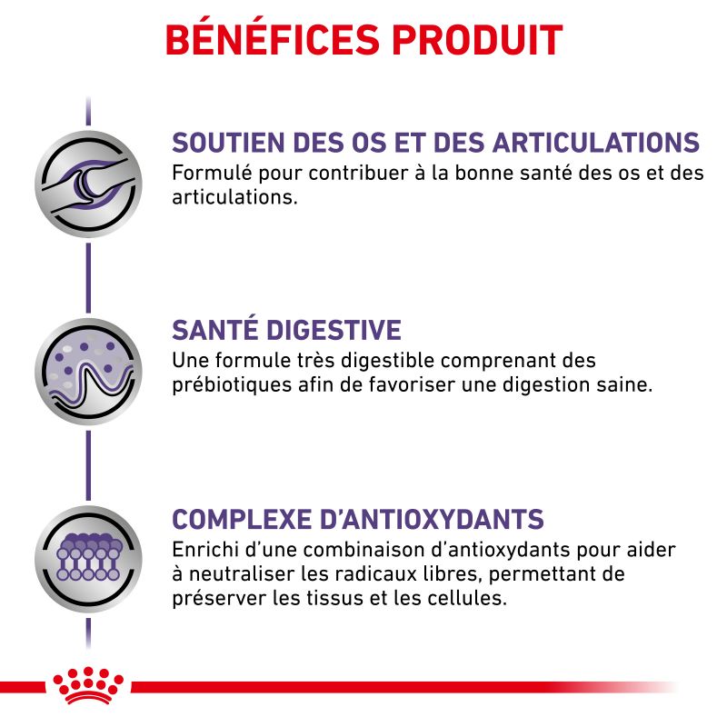 Royal Canin Vet Care Nutrition Dog adult Large Digest & Osteo Royal Canin Vet Care Nutrition Dog adult Large Digest & Osteo