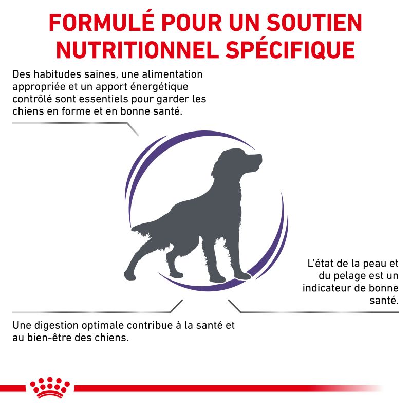 Royal Canin Vet Care Nutrition Dog adult Medium Skin & Digest Royal Canin Vet Care Nutrition Dog adult Medium Skin & Digest