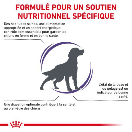 Royal Canin Vet Care Nutrition Dog adult Medium Skin & Digest Royal Canin Vet Care Nutrition Dog adult Medium Skin & Digest