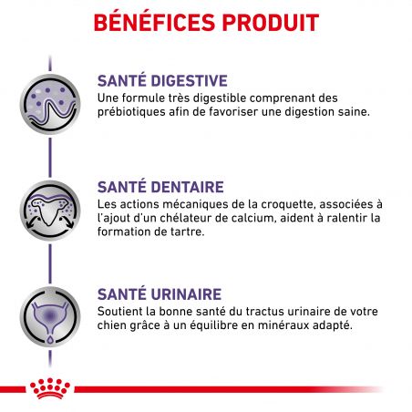 Royal Canin Vet Care Nutrition Dog adult Small Dental & Digest Royal Canin Vet Care Nutrition Dog adult Small Dental & Digest
