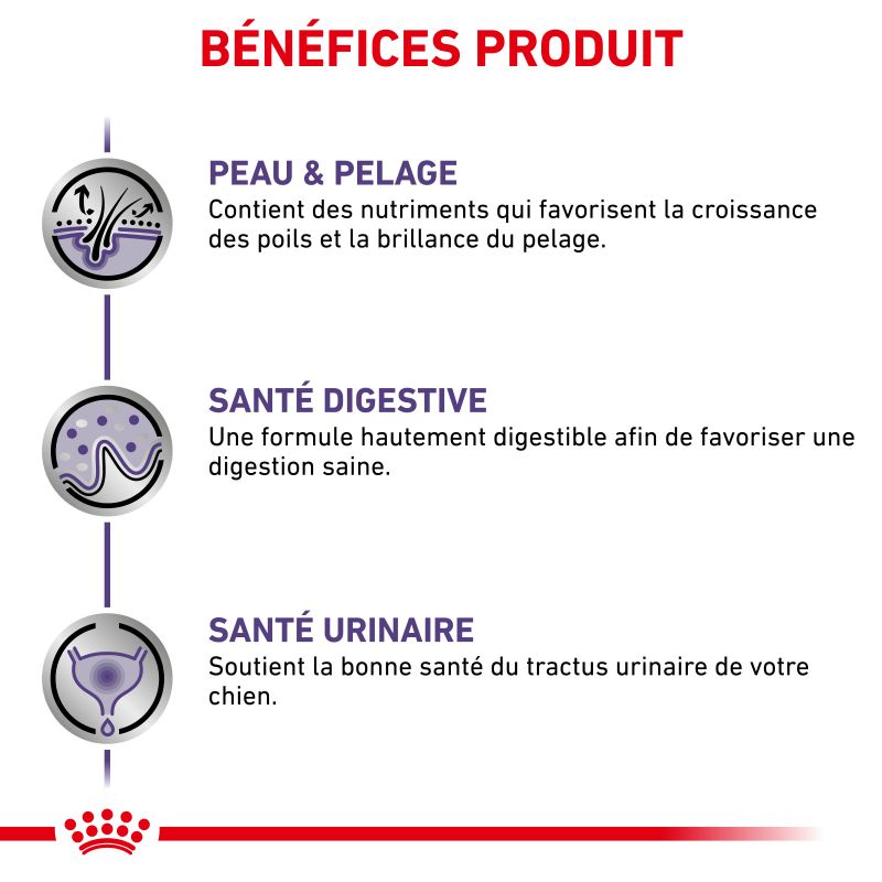 Royal Canin Veterinary Diet Dog Adult 12 sachets de 100 g Royal Canin Veterinary Diet Dog Adult 12 sachets de 100 g