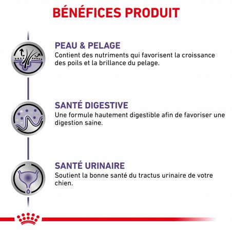Royal Canin Veterinary Diet Dog Adult 12 sachets de 100 g Royal Canin Veterinary Diet Dog Adult 12 sachets de 100 g