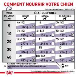 Royal Canin Veterinary Diet Dog Adult 12 sachets de 100 g