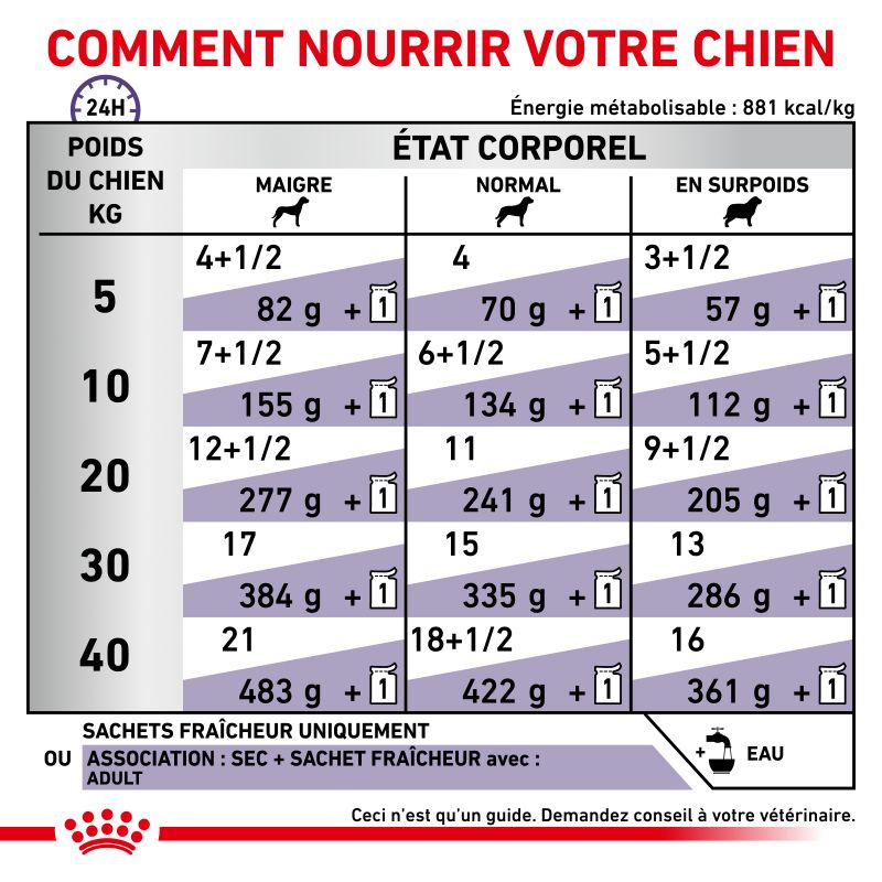 Royal Canin Veterinary Diet Dog Adult 12 sachets de 100 g Royal Canin Veterinary Diet Dog Adult 12 sachets de 100 g