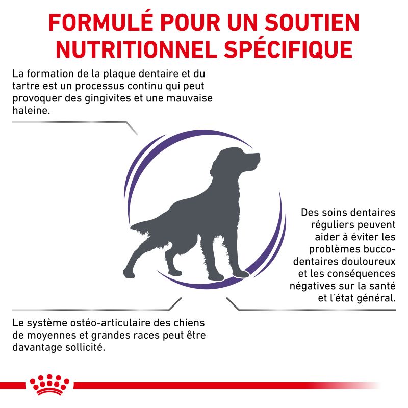 Royal Canin Veterinary Diet Dog Dental Royal Canin Veterinary Diet Dog Dental