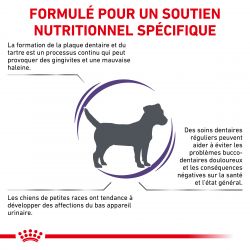 Royal Canin Veterinary Diet Dog Dental Small