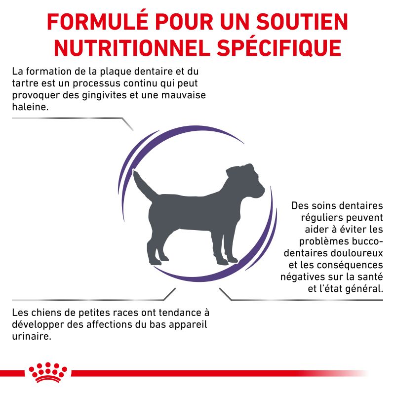 Royal Canin Veterinary Diet Dog Dental Small Royal Canin Veterinary Diet Dog Dental Small