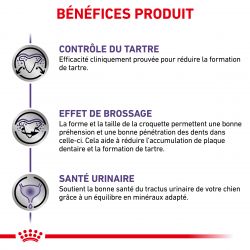 Royal Canin Veterinary Diet Dog Dental Small