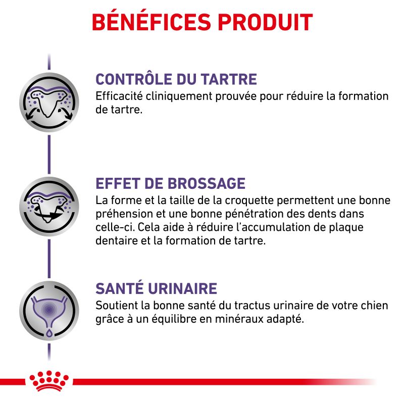 Royal Canin Veterinary Diet Dog Dental Small Royal Canin Veterinary Diet Dog Dental Small