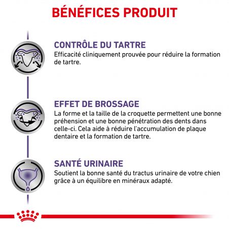 Royal Canin Veterinary Diet Dog Dental Small Royal Canin Veterinary Diet Dog Dental Small