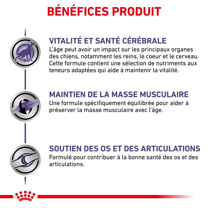 Royal Canin Vet Care Nutrition DogMature Large Vitality & Joint- Sac de 14 kg Royal Canin Vet Care Nutrition DogMature Large Vitality & Joint- Sac de 14 kg