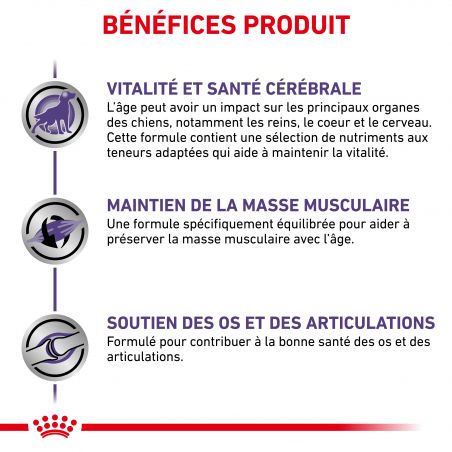 Royal Canin Vet Care Nutrition DogMature Large Vitality & Joint- Sac de 14 kg Royal Canin Vet Care Nutrition DogMature Large Vitality & Joint- Sac de 14 kg
