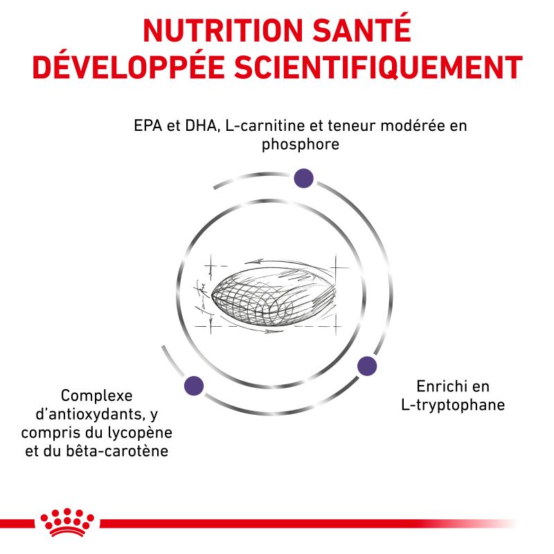 Royal Canin Vet Care Nutrition DogMature Large Vitality & Joint- Sac de 14 kg Royal Canin Vet Care Nutrition DogMature Large Vitality & Joint- Sac de 14 kg