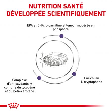 Royal Canin Vet Care Nutrition DogMature Large Vitality & Joint- Sac de 14 kg Royal Canin Vet Care Nutrition DogMature Large Vitality & Joint- Sac de 14 kg