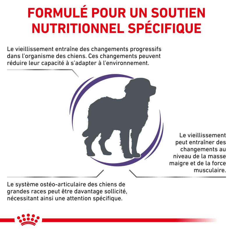 Royal Canin Vet Care Nutrition DogMature Large Vitality & Joint- Sac de 14 kg Royal Canin Vet Care Nutrition DogMature Large Vitality & Joint- Sac de 14 kg
