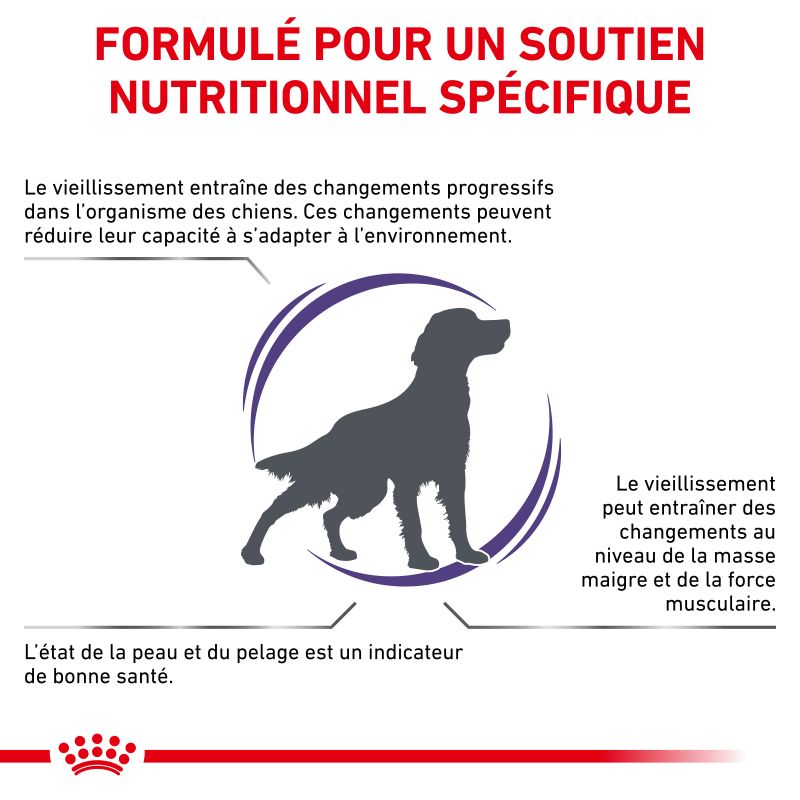 Royal Canin Vet Care Nutrition Dog senior consult Medium - Sac de 10 kg Royal Canin Vet Care Nutrition Dog senior consult Medium - Sac de 10 kg