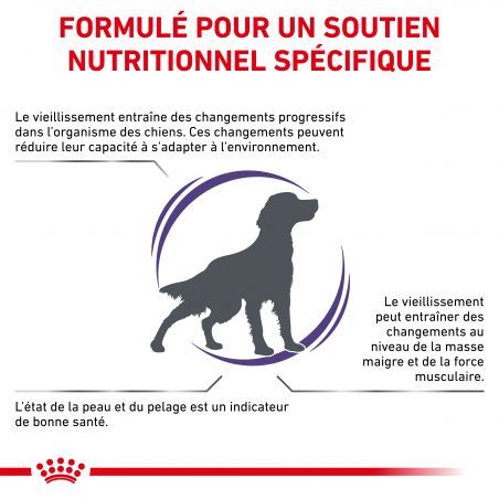 Royal Canin Vet Care Nutrition Dog senior consult Medium - Sac de 10 kg Royal Canin Vet Care Nutrition Dog senior consult Medium - Sac de 10 kg