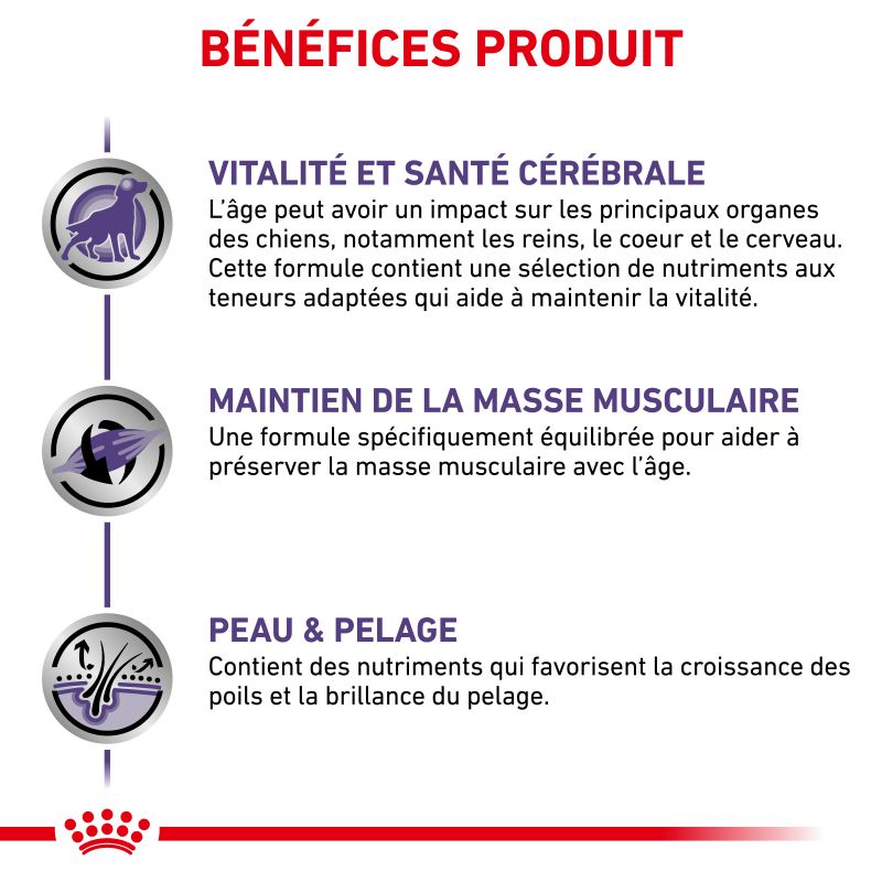 Royal Canin Vet Care Nutrition Dog senior consult Medium - Sac de 10 kg Royal Canin Vet Care Nutrition Dog senior consult Medium - Sac de 10 kg