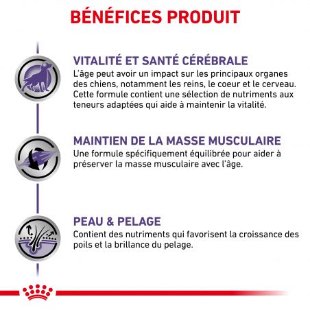 Royal Canin Vet Care Nutrition Dog senior consult Medium - Sac de 10 kg Royal Canin Vet Care Nutrition Dog senior consult Medium - Sac de 10 kg