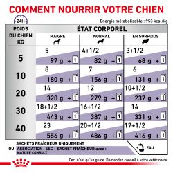 Royal Canin Vet Care Nutrition Dog Mature Consult 6- 12 sachets de 85g