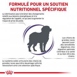 Royal Canin Vet Care Nutrition Dog Adult Large Neutered Weight & Osteo
