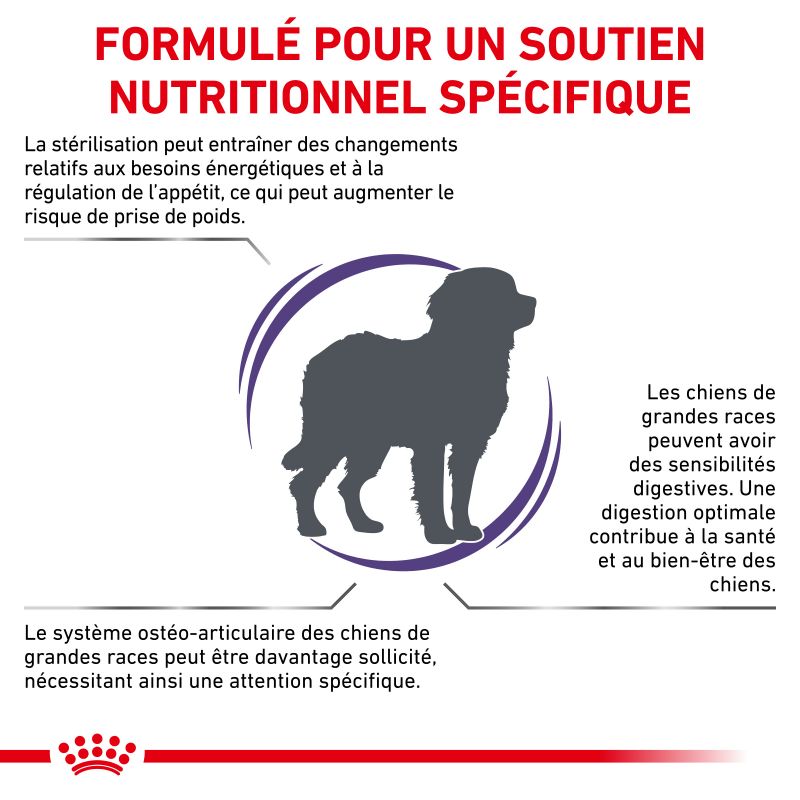 Royal Canin Vet Care Nutrition Dog Adult Large Neutered Weight & Osteo Royal Canin Vet Care Nutrition Dog Adult Large Neutered Weight & Osteo