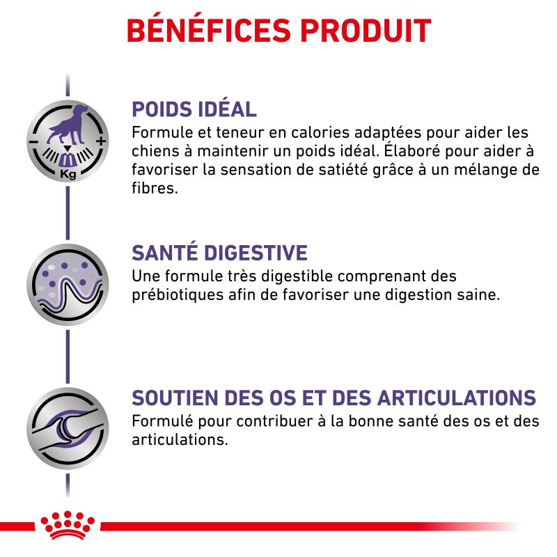 Royal Canin Vet Care Nutrition Dog Adult Large Neutered Weight & Osteo Royal Canin Vet Care Nutrition Dog Adult Large Neutered Weight & Osteo