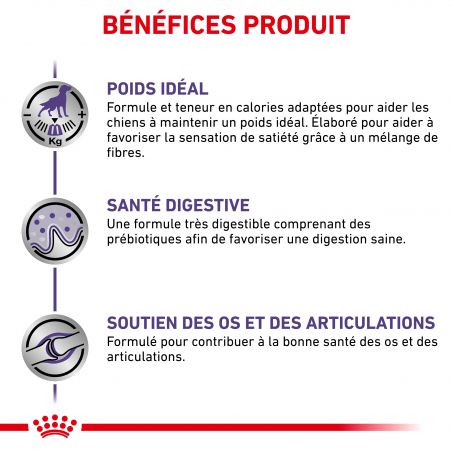 Royal Canin Vet Care Nutrition Dog Adult Large Neutered Weight & Osteo Royal Canin Vet Care Nutrition Dog Adult Large Neutered Weight & Osteo