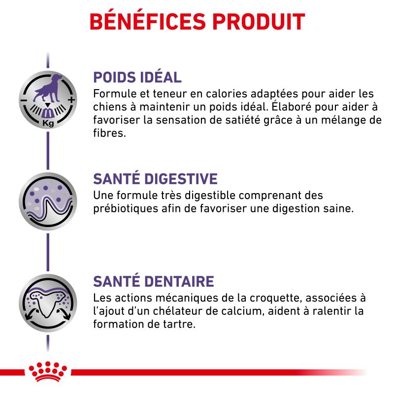 Royal Canin Vet Care Nutrition Dog Adult Small Neutered Weight & Dental Royal Canin Vet Care Nutrition Dog Adult Small Neutered Weight & Dental