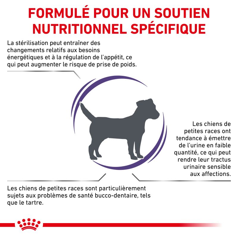 Royal Canin Vet Care Nutrition Dog Adult Small Neutered Weight & Dental Royal Canin Vet Care Nutrition Dog Adult Small Neutered Weight & Dental