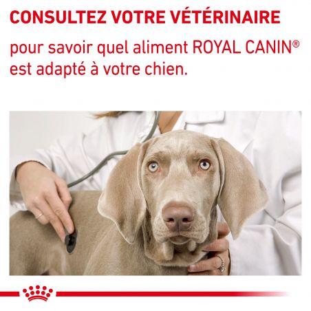Royal Canin Neutered Adult pour chiens- 12 sachets de 100g