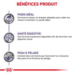 Royal Canin Neutered Adult pour chiens- 12 sachets de 100g