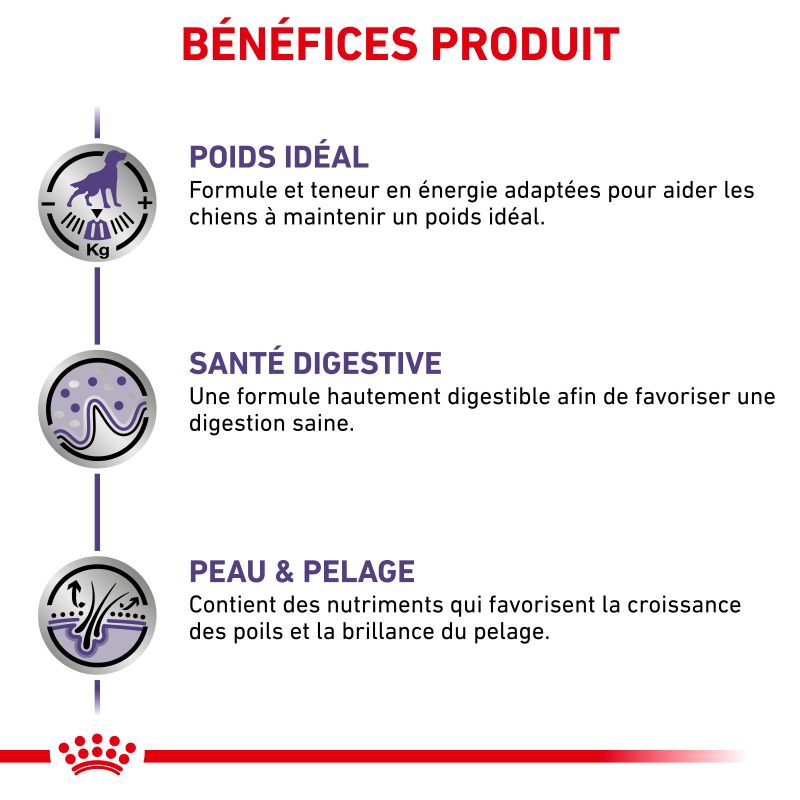Royal Canin Neutered Adult pour chiens- 12 sachets de 100g