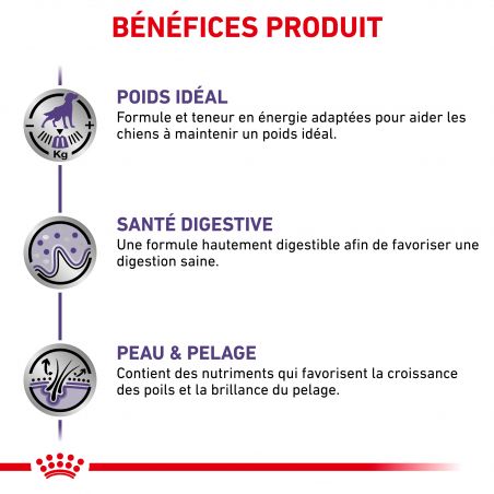 Royal Canin Neutered Adult pour chiens- 12 sachets de 100g