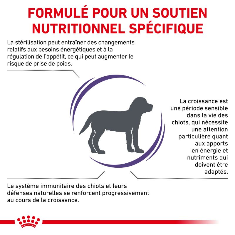 Royal Canin Vet Care Nutrition Neutered Junior Medium Dog