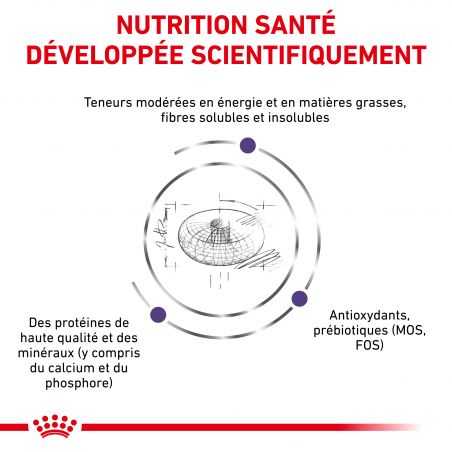 Royal Canin Vet Care Nutrition Neutered Junior Medium Dog Royal Canin Vet Care Nutrition Neutered Junior Medium Dog