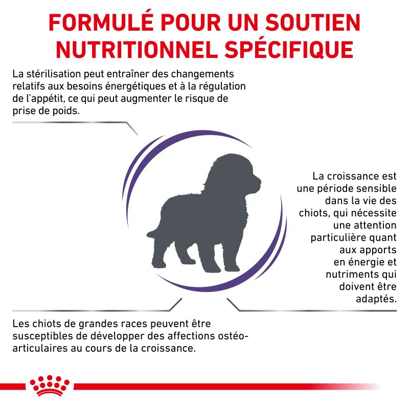 Royal Canin Vet Care Nutrition Dog Junior Large Neutered Digest & Weight Royal Canin Vet Care Nutrition Dog Junior Large Neutered Digest & Weight