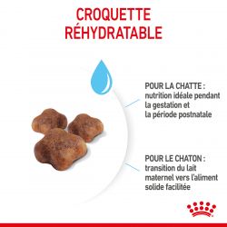 Royal Canin Cat Mother & Babycat
