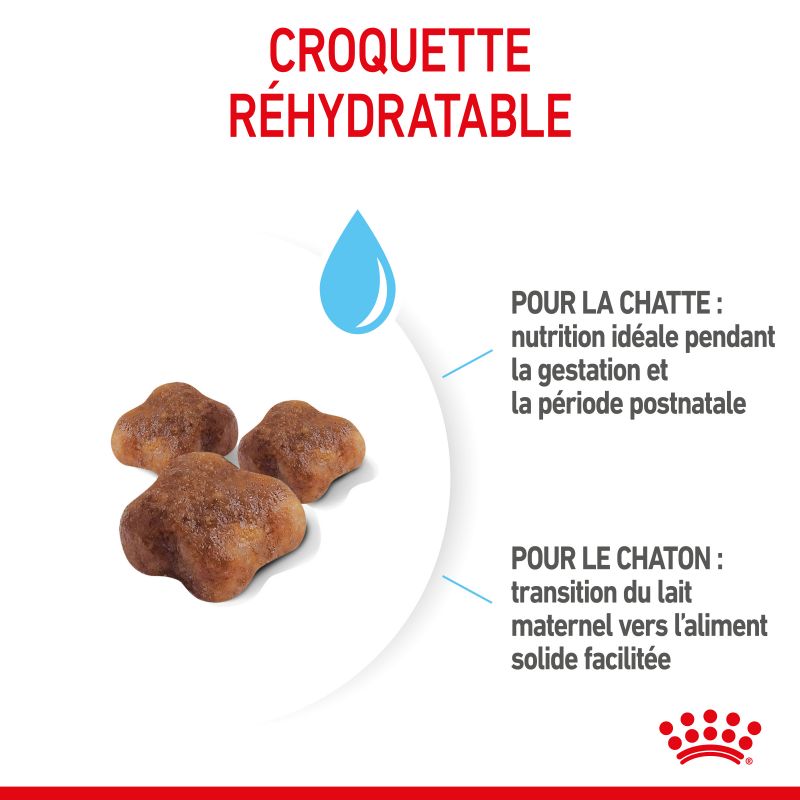 Royal Canin Cat Mother & Babycat Royal Canin Cat Mother & Babycat