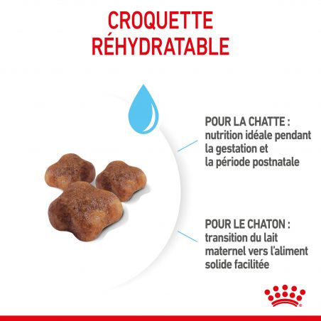 Royal Canin Cat Mother & Babycat Royal Canin Cat Mother & Babycat