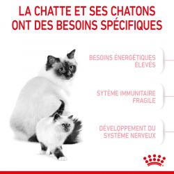 Royal Canin Cat Mother & Babycat