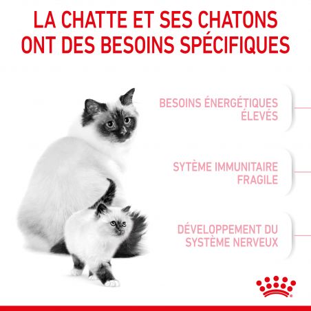 Royal Canin Cat Mother & Babycat Royal Canin Cat Mother & Babycat